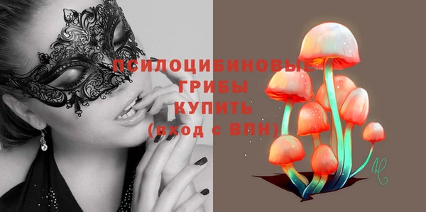 сатива Верхний Тагил