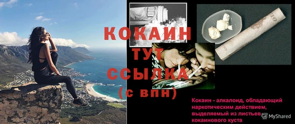 сатива Верхний Тагил