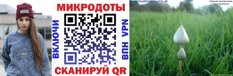 Псилоцибиновые грибы Magic Shrooms  Полтавская 